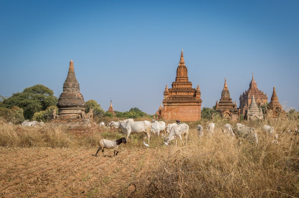 Le royaume de Bagan.